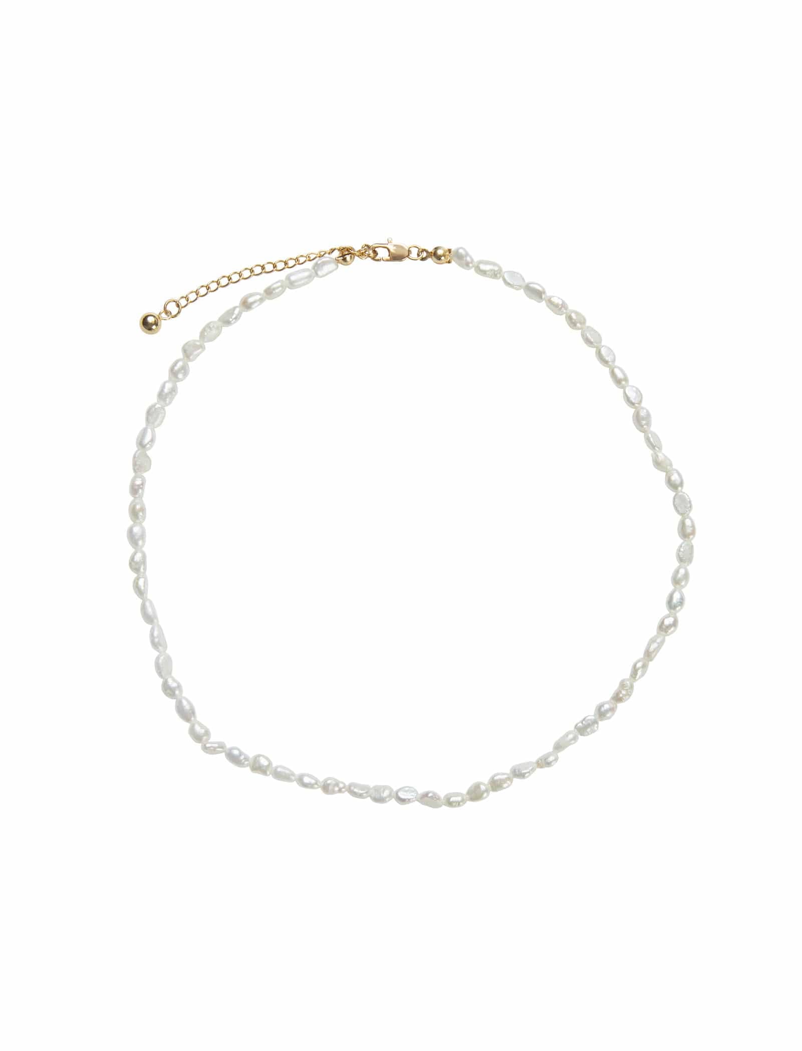 Pastiche  Isadore Necklace - J1183YGPL_38