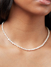 Pastiche  Isadore Necklace - J1183YGPL_38