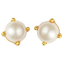 Pastiche  Ava Studs - E1990YGPL