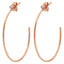 Pastiche  Starry Night Earrings - E1902RGCZ