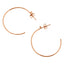 Pastiche  Starry Night Earrings - E1902RGCZ