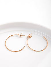 Pastiche  Starry Night Earrings - E1902RGCZ