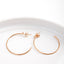 Pastiche  Starry Night Earrings - E1902RGCZ