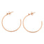 Pastiche  Starry Night Earrings - E1902RGCZ