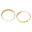 Pastiche  Quiet Echo Earrings -