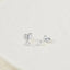 Pastiche  Glisten Studs -