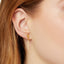 Pastiche  Sia Earrings - E1979YGCZ