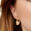 Pastiche  Shadow Earrings -