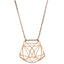 Pastiche  Blurred Light Necklace - J1027RG_46