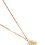 Pastiche  Eris Necklace - J1141YGCZ_40