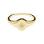 Pastiche  Voyager Ring - R1211YGCZ-N