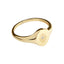 Pastiche  Voyager Ring -